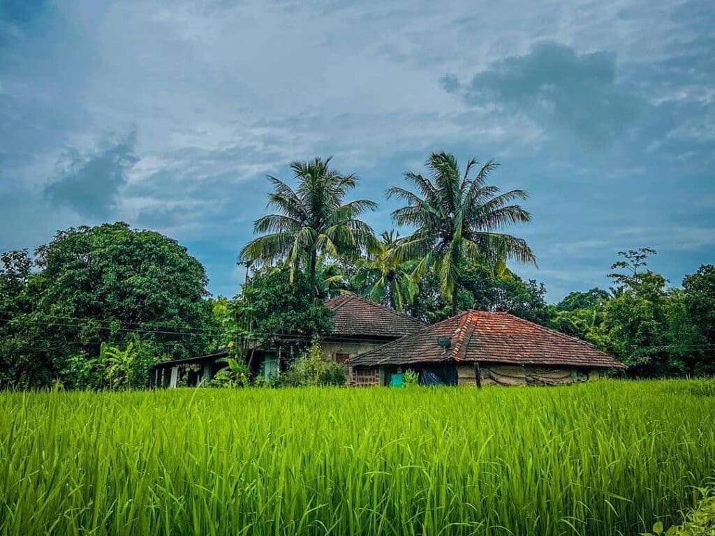 Villa & commercial plots for sale near mopa airport goa at satarda - govind vatika